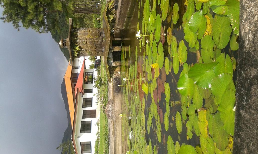 Hotel Campestre El Valle de Anton Eksteriør bilde